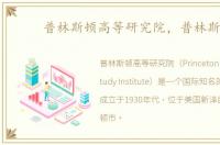 普林斯顿高等研究院，普林斯顿