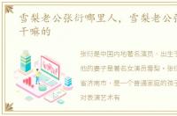 雪梨老公张衍哪里人，雪梨老公张衍家是干嘛的