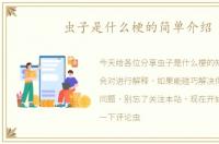 虫子是什么梗的简单介绍