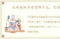尺码圈和字母圈哪个大，尺码圈