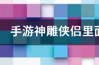 狐狸能当宠物养吗？ 狐狸宠物