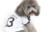 宠物衣服市场怎么样？ 宠物服饰市场现状