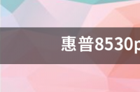 惠普8530p能加内存吗？ 惠普8530p
