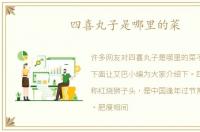 四喜丸子是哪里的菜