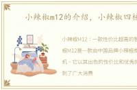 小辣椒m12的介绍，小辣椒四核m1