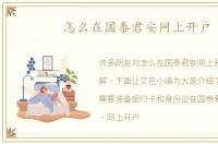 怎么在国泰君安网上开户