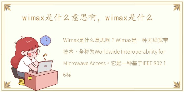 wimax是什么意思啊，wimax是什么