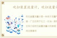 吹扫装置流量计，吹扫流量计