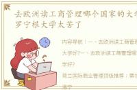 去欧洲读工商管理哪个国家的大学好? 格罗宁根大学太苦了