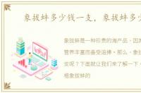 象拔蚌多少钱一支，象拔蚌多少钱