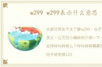 w299 w299表示什么意思