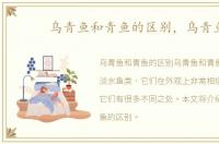 乌青鱼和青鱼的区别，乌青鱼