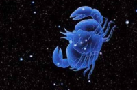 为什么说巨蟹男跟巨蟹女是两个星座？ 巨蟹男和什么星座最配夫妻