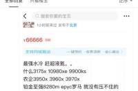 为什么很少人养约克夏? 约克夏吧百度贴吧