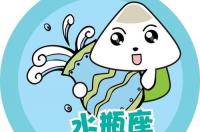 苏珊米勒水瓶座2017年运势完整版 水瓶座2021年运势完整版