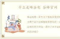 什么是蜂谷电 谷蜂官网