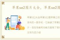 苹果se2图片大全，苹果se2图片
