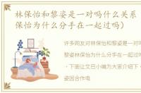 林保怡和黎姿是一对吗什么关系（黎姿林保怡为什么分手在一起过吗）