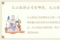 文山旅游公司有哪些，文山旅游