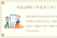 琦基u2000（琦基笨小孩）