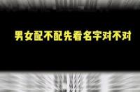 女属猪和男属龙相配吗 免费测试两人配不配
