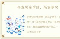 伦敦玛丽学院，玛丽学院