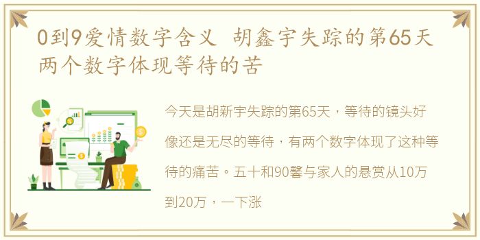 0到9爱情数字含义 胡鑫宇失踪的第65天 两个数字体现等待的苦