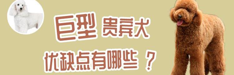 2f998707d4594237a08d61c00e769465~tplv-tt-origin.image?_iz=30575&from=search_content.wenda_api&x-expires=1682087729&x-signature=Q51veKEcRKUHePKcQ5otnvnCwL8%3D