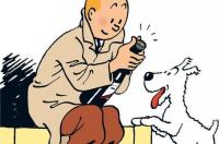 猎梗犬硬毛与短毛怎样分辨？ 硬毛猎狐犬
