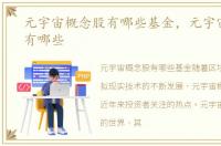元宇宙概念股有哪些基金，元宇宙概念股有哪些