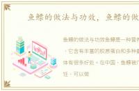 鱼鳔的做法与功效，鱼鳔的做法