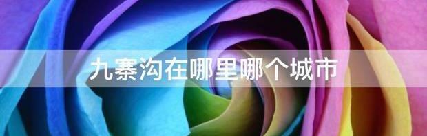 t01025e4a98ba4c66e6.jpg