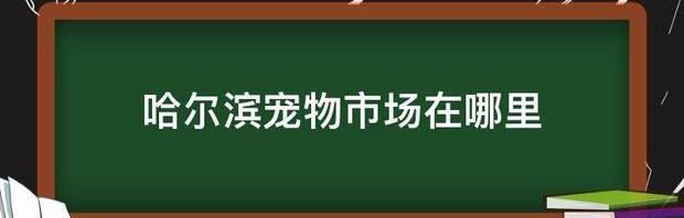 t01e4ccb70563300eff.jpg