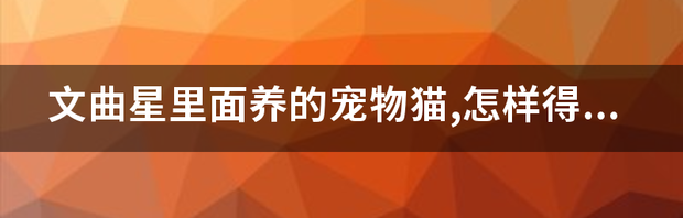 t01acca1472b915bbbc.png