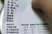 小小近义词？ 细小的近义词