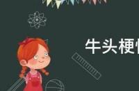 牛头梗几月发情？ 牛头梗的性格