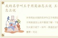 我的名字叫王子用英语怎么说 王子用英语怎么说