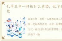乱草丛中一杆枪什么意思，乱草丛中一杆枪