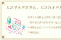 天津市车牌照查询，天津汽车牌照查询