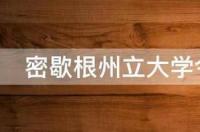 求几所美国大学。计算机工程专业排名全美前10的都列出来。谢了？ 密歇根州立大学专业排名