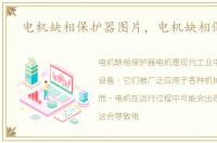 电机缺相保护器图片，电机缺相保护器