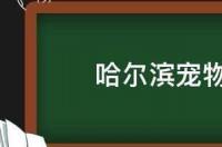 哈尔滨哪有宠物市场？ 哈尔滨宠物市场
