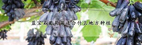 t0180e41fb54cdd9ab2.jpg