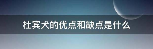 t013763cb89157b674a.jpg