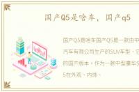 国产Q5是啥车，国产q5