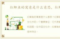 红鲫鱼的寓意是什么意思，红鲫鱼