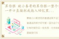 算你狠 被小春哥的算你狠一整个拿捏住了,一开口直接把我拖入回忆里了,这魅力大到挡都挡不住啊