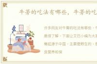 牛蒡的吃法有哪些，牛蒡的吃法