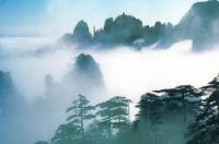 厦门两日游如何安排呢 厦门旅游攻略二日游