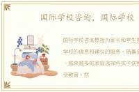 国际学校咨询，国际学校